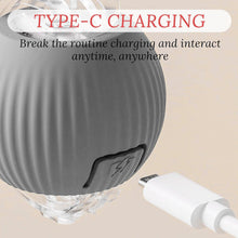 Rechargeable Interactive Cat Toy Ball with Detachable Braided Tail and LED Light (1 Pc)